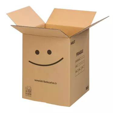 Carton boxes test